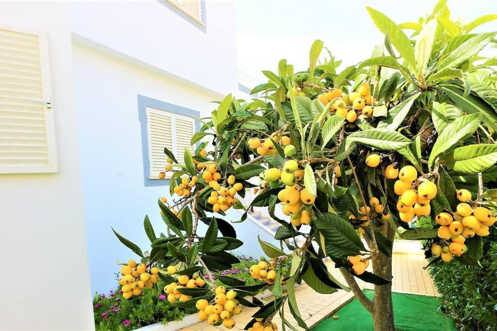 Vila Ventura Marina Albufeira Bagian luar foto